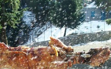 Πάσχα με χιόνια και καταιγίδες Πάσχα αρνί με χιόνια και βροχές
