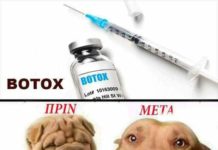 Δείτε την φωτογραφία της ημέρας … Δείτε την φωτογραφία της ημέρας ...