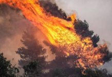 Πυρκαγιά τώρα στα Καλύβια Αττικής 5 οχήματα δίνουν την μάχη Πυρκαγιά τώρα στα Καλύβια Αττικής 5 οχήματα δίνουν την μάχη