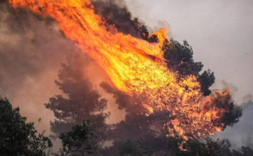 Πυρκαγιά τώρα στα Καλύβια Αττικής 5 οχήματα δίνουν την μάχη Πυρκαγιά τώρα στα Καλύβια Αττικής 5 οχήματα δίνουν την μάχη