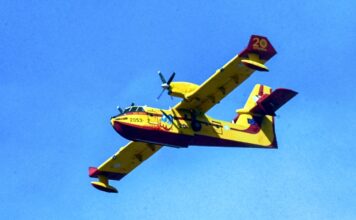 Στις φλόγες δασική έκταση στον Άγιο Κωνσταντίνο Βιλίων – Ήχησε το 112