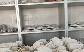 Αυτοψία της Υπουργού Πολιτισμού Λίνας Μενδώνη στον αρχαιολογικό χώρο της Πέλλας