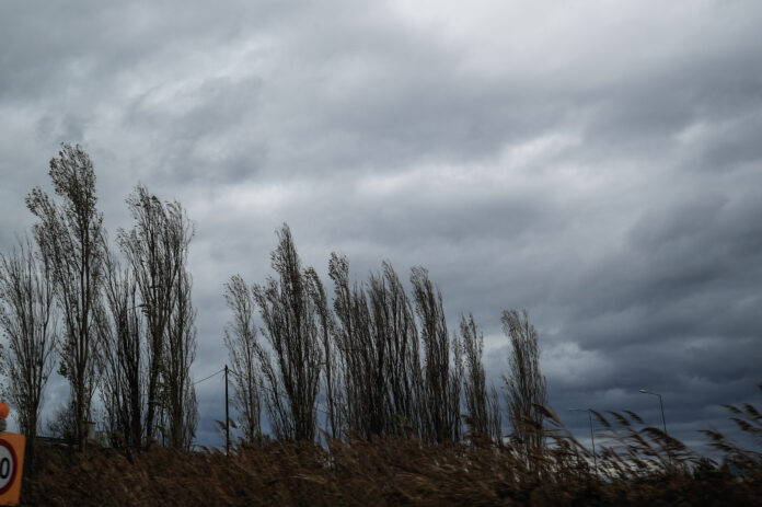 ΠΤΩΣΗ ΔΕΝΤΡΩΝ ΑΠΟ ΤΗΝ ΚΑΚΟΚΑΙΡΙΑ