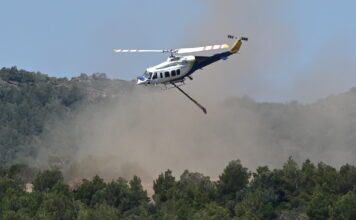 Άσκηση Αντιμετώπισης Δασικής Πυρκαγιάς Μεγάλης Έκτασης “ΔΙΑ ΠΥΡΟΣ 2025”