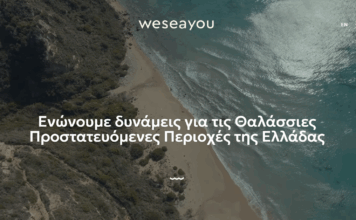 Μπες στο παρατηρητήριο WeSeaYou