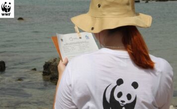 Δώσε λίγο χρόνο για τις χελώνες καρέτα