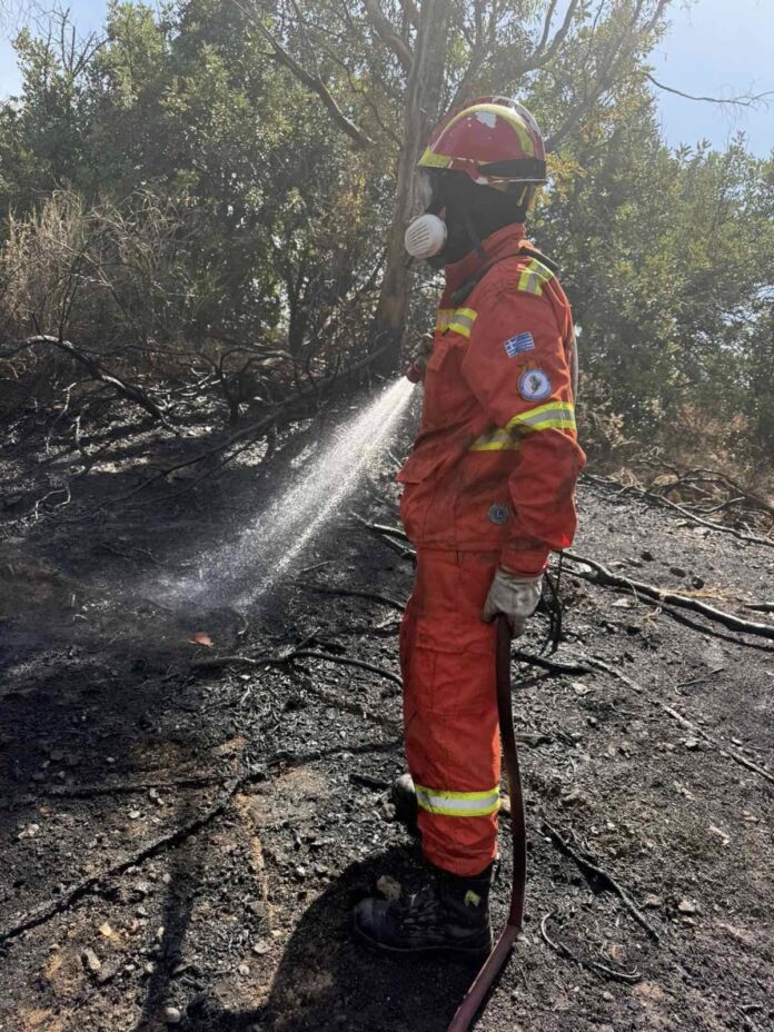 515491469_10163343937886941_3534447915895168407_n