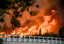 Φωτιά στην Αχαΐα: «Οι εκκενώσεις πραγματοποιούνται ανάλογα με την περιοχή»