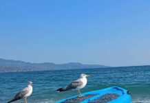 Γενικά αίθριος ο καιρός σήμερα Τετάρτη