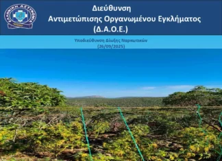 Εξαρθρώθηκε οργάνωση με πάνω από 1 τόνο κάνναβης