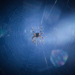 Όταν δεν υπάρχει εμπιστοσύνη σε μια συνεργασία: Ο θεμέλιος λίθος που λείπει