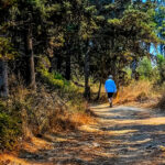 Ηλιοφάνεια το Σάββατο με τοπικές νεφώσεις και έως 34°C