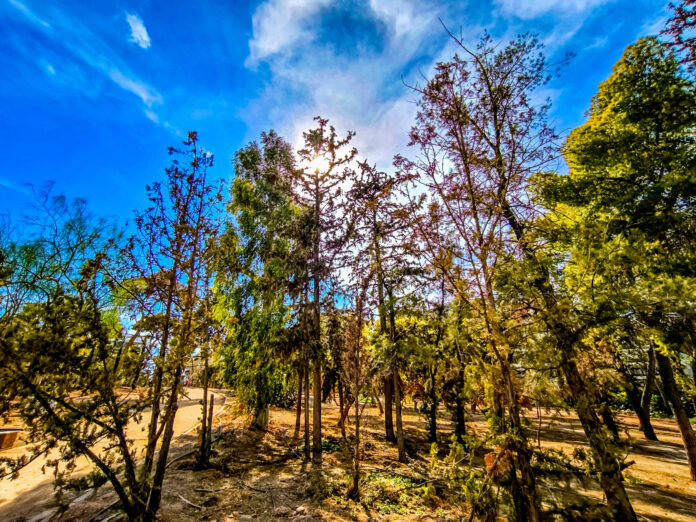 «22 Σεπτεμβρίου: Αίθριος ουρανός, καλοκαίρι που δεν λέει να φύγει»