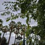 Δευτέρα με παροδικές νεφώσεις και τοπικές βροχές στα νοτιοδυτικά