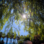 Μικρή άνοδος της θερμοκρασίας την Κυριακή – Τοπικές βροχές και καταιγίδες από το βράδυ στο Ιόνιο