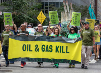 Πρόταση 042: Η IUCN Προωθεί Δίκαιη Μετάβαση σε Καθαρές Πηγές Ενέργειας