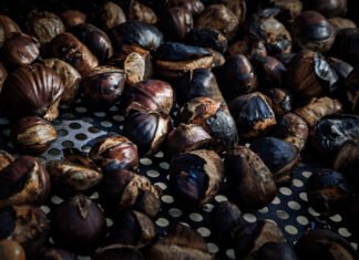 «Γιορτή της Μελίβοιας Γης» – Η καρδιά του κάστανου χτυπά στη Λάρισα