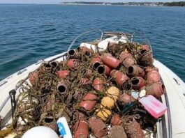 Κατάσχεση 96 παράνομων ιχθυοπαγίδων στον Θερμαϊκό κόλπο