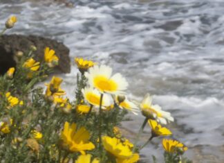 Με βροχές και τοπικές καταιγίδες η Τρίτη – Πού θα είναι πιο έντονα τα φαινόμενα