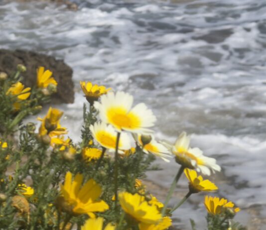 Με βροχές και τοπικές καταιγίδες η Τρίτη – Πού θα είναι πιο έντονα τα φαινόμενα