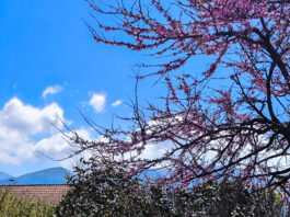 Καιρός: Ανοιξιάτικο σκηνικό με τοπικές βροχές στα ορεινά τη Δευτέρα