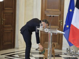 Εκτός πρωτοκόλλου στιγμές Μακρόν στο Μαξίμου πριν τις κρίσιμες δηλώσεις