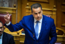 Παπασταύρου: «Δεν υπήρξε διαρροή φυσικού αερίου – οργανωμένο πλαίσιο για ΑΠΕ και ισχυρή αποτρεπτική δύναμη της χώρας»